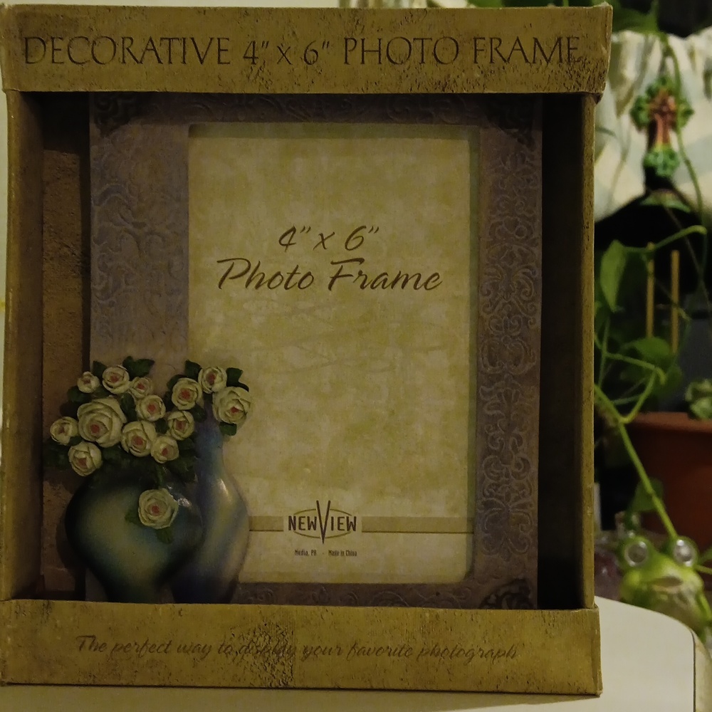 Transparent Vases Photo Frame by New View Decorative 4x6